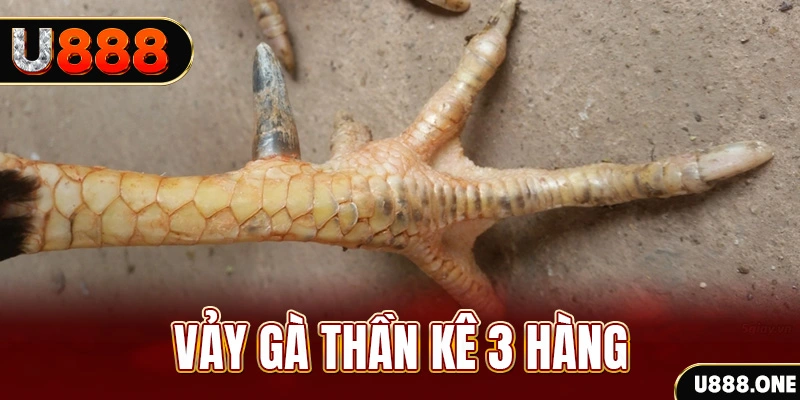 qh88 app nổ hũ đổi thưởng . ai