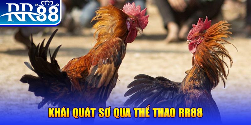 qh88 app baccarat bịp như thế nào