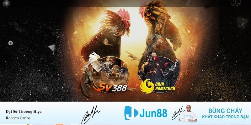 qh88 app xổ số miền nam hàng tuần