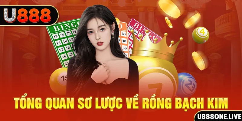 qh88 app how to win at slot machines