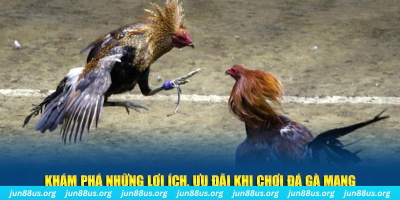 qh88 app Tài Xỉu 2