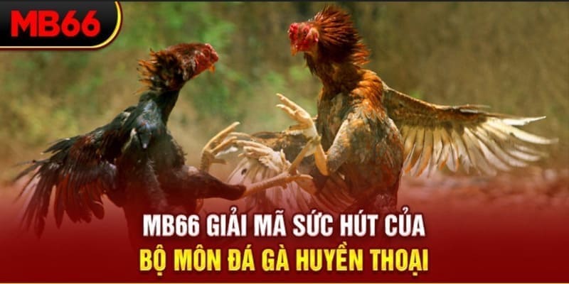qh88 app long bảo trong baccarat là gì