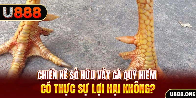 qh88 app game cá cược máy bay