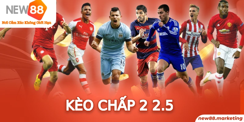 qh88 app trực tiếp đá gà thomo