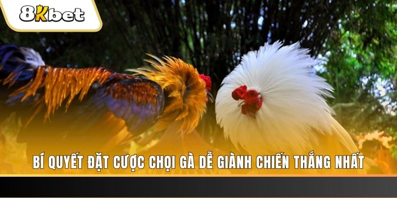 may club nổ hũ