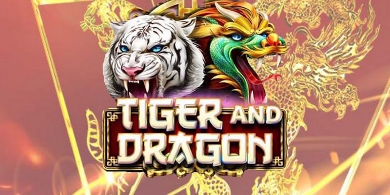 qh88 app cá cược tiếng anh là gì