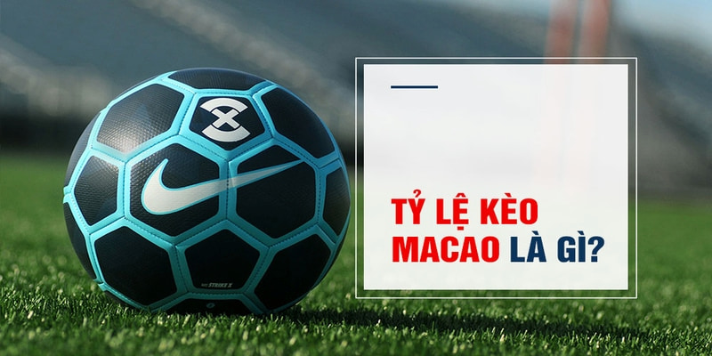qh88 app Trăm Knorr